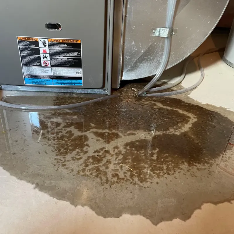 Appliance Leak Cleanup in Roanoke, AL